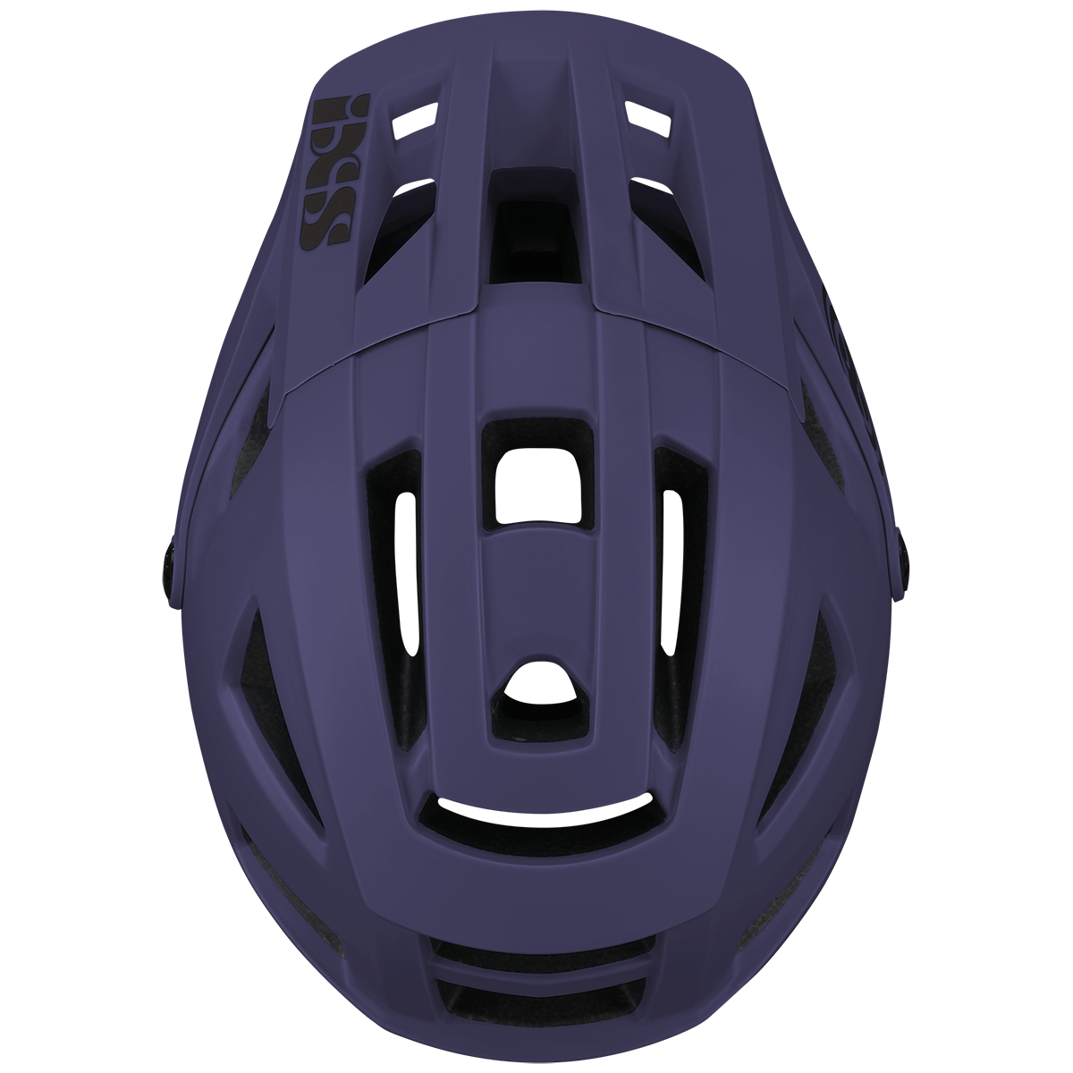 Helm Trigger AM grape