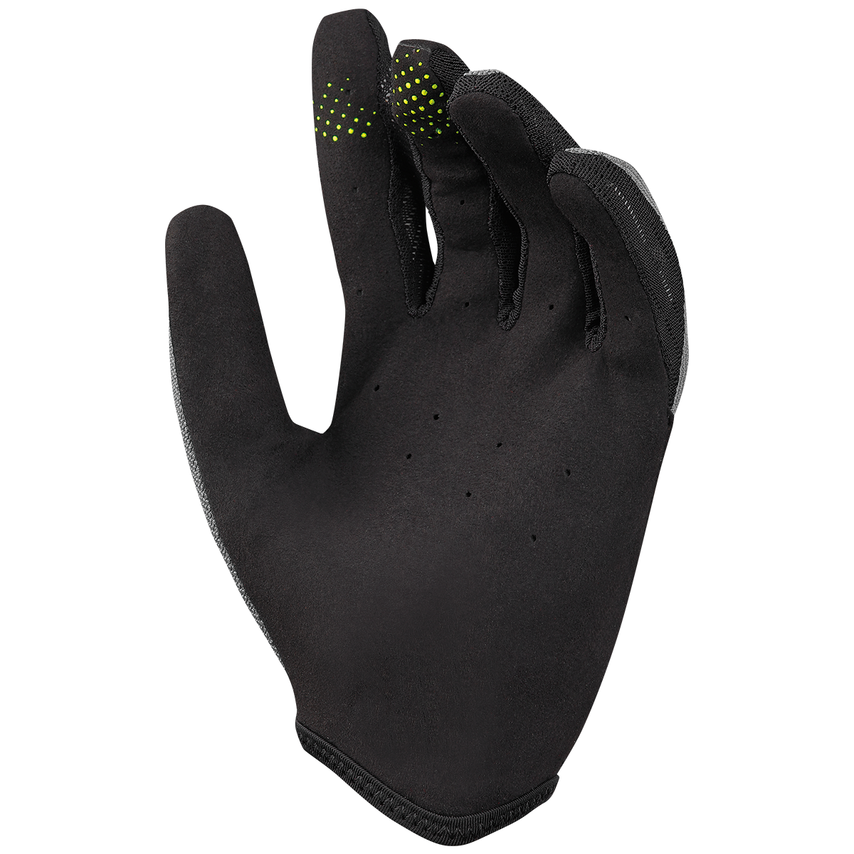 Carve Handschuhe graphite