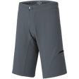 Carve Evo Shorts charcoal