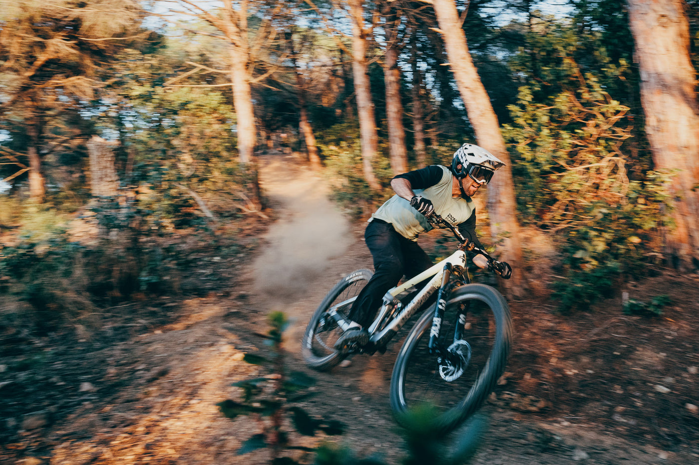 MTB Fahrer auf einem Waldweg