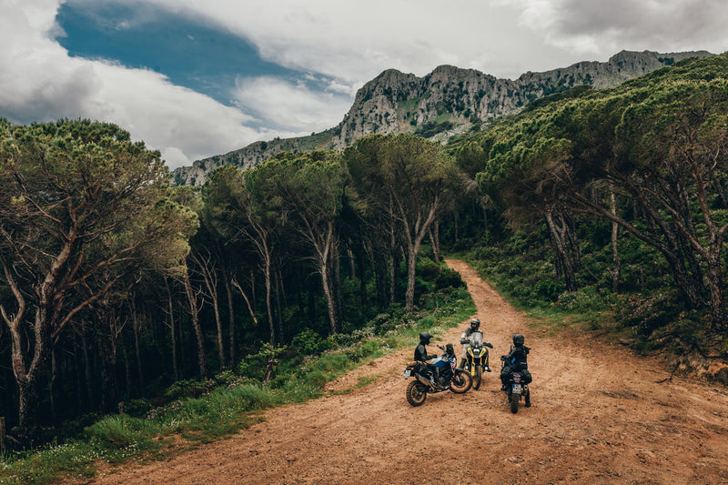 3 Motoradfahrer in einem Bergwald